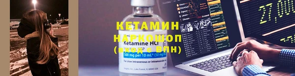 крисы Аркадак