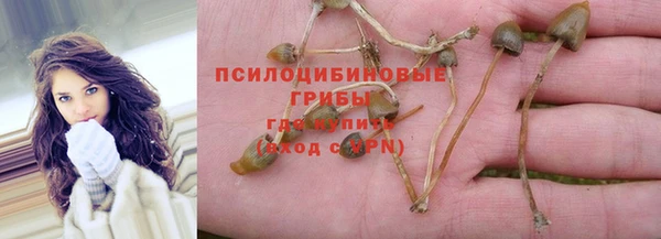 крисы Аркадак