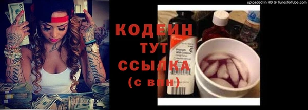 крисы Аркадак