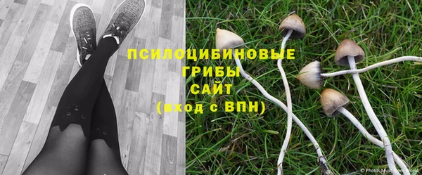 гидропоника Армянск