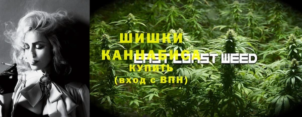 прущие грибы Лиски