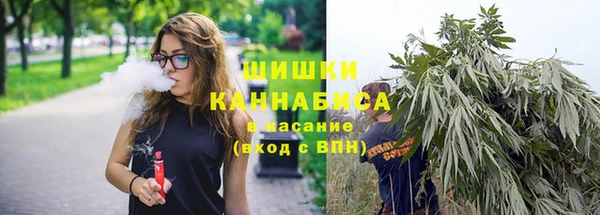крисы Аркадак