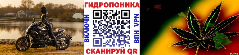 МАРИХУАНА THC 21%  продажа наркотиков  Михайловка 